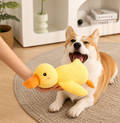 Pet Interactive Companion.