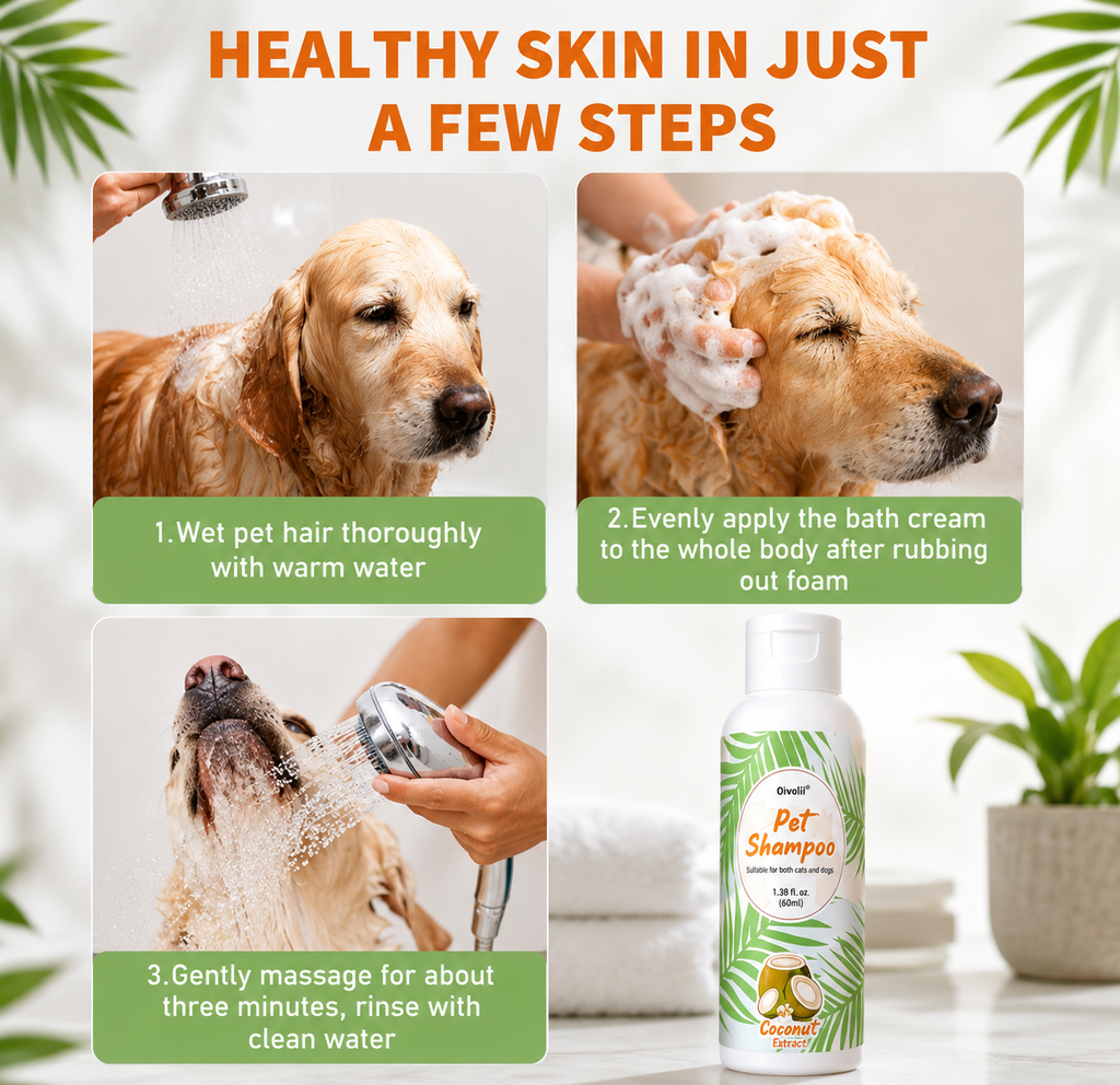 Coconut Scent Dog Shampoo – Deep Cleansing & Long-Lasting Freshness