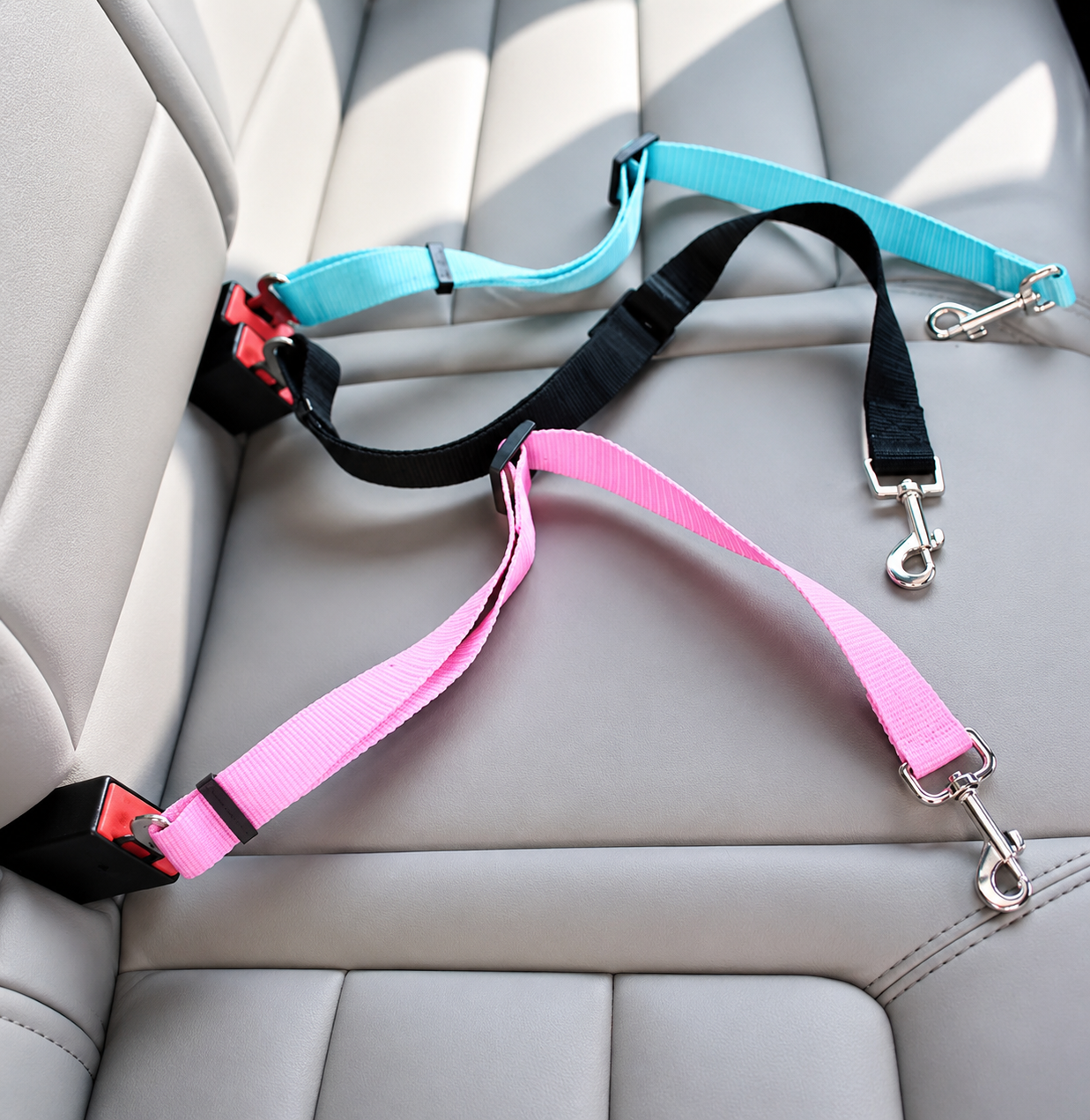 Adjustable Pet Car Seat Belt for Dogs & Cats