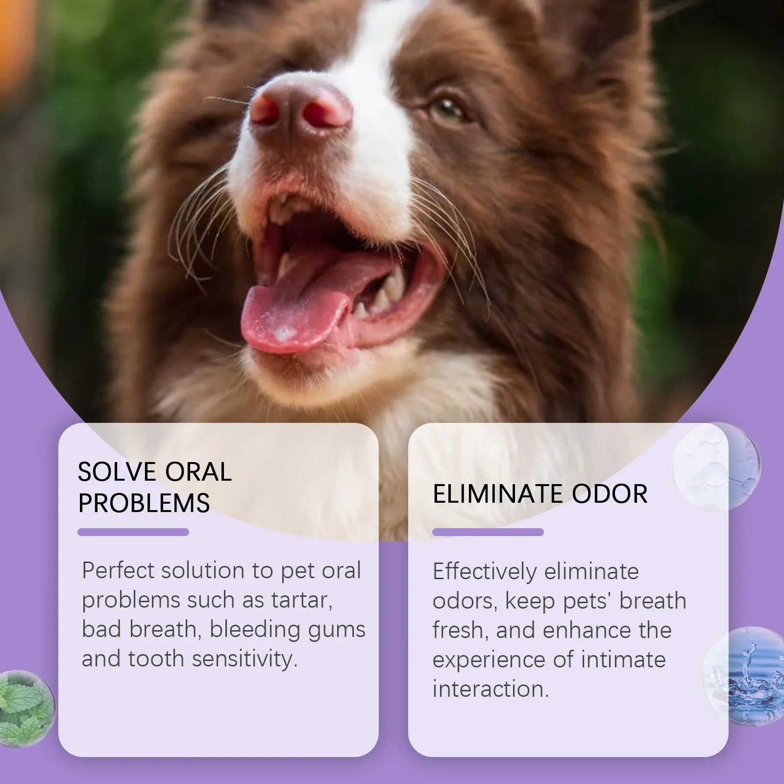 Pet Oral Cleaning Spray – Fresh Breath & Healthy Teeth for Dogs and Cats